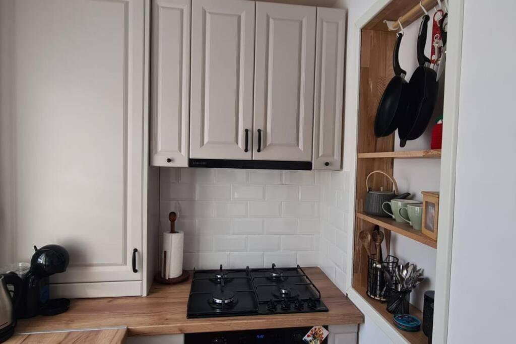 Warm And Cozy Studio Flat Near Straja Uricani  المظهر الخارجي الصورة