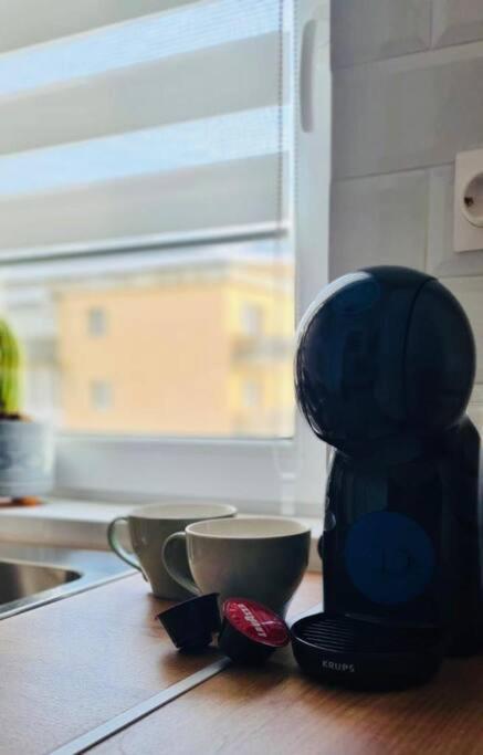 Warm And Cozy Studio Flat Near Straja Uricani  المظهر الخارجي الصورة