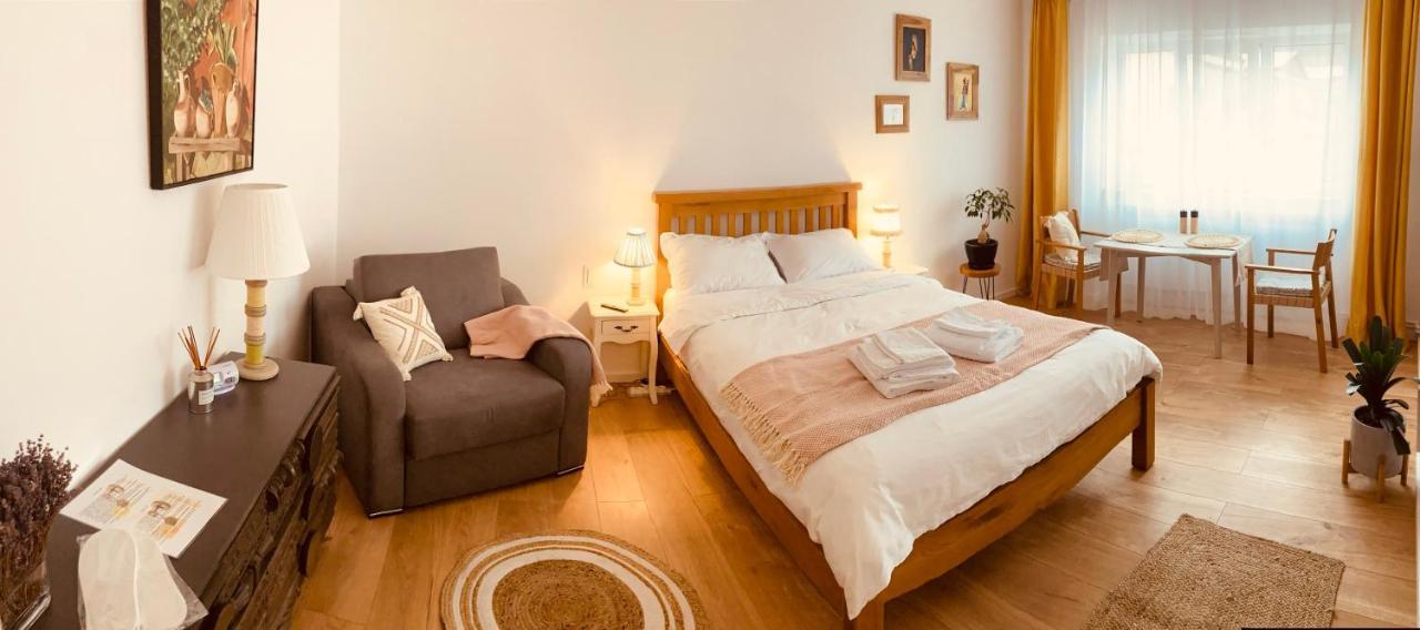 Warm And Cozy Studio Flat Near Straja Uricani  المظهر الخارجي الصورة